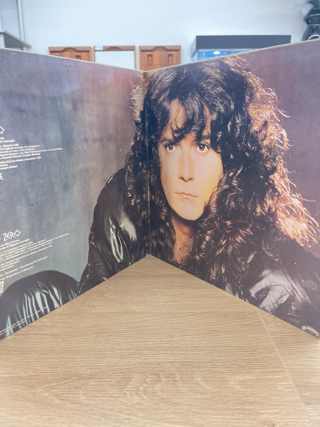 Disco Lp 33 Giri Vinile Renato Zero –artide Antartide