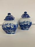 Coppia Potiche Vintage Victoria Ware
