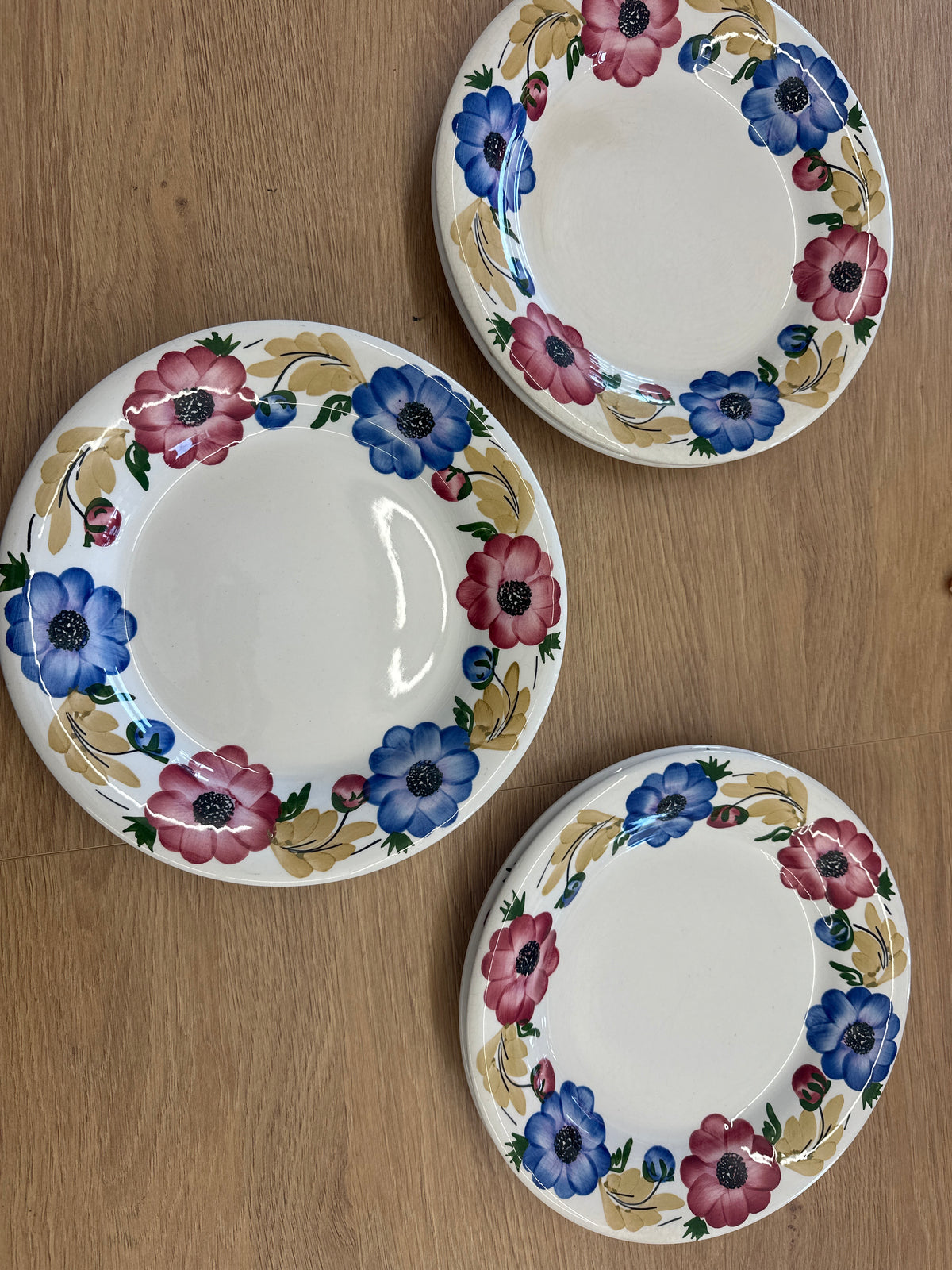 6 Piatti Richard Ginori Mondovi Anemoni